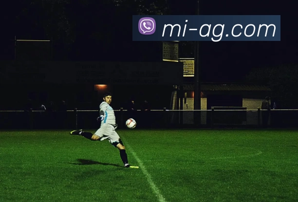 PA真人平台生态图